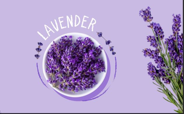 lavender aarti