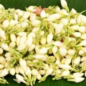 mogra aastha agarbatti (50g)
